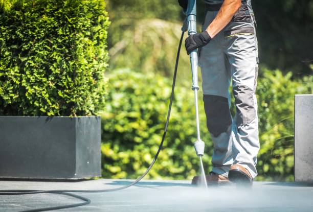 Best Roof Washing  in Brocton, NY