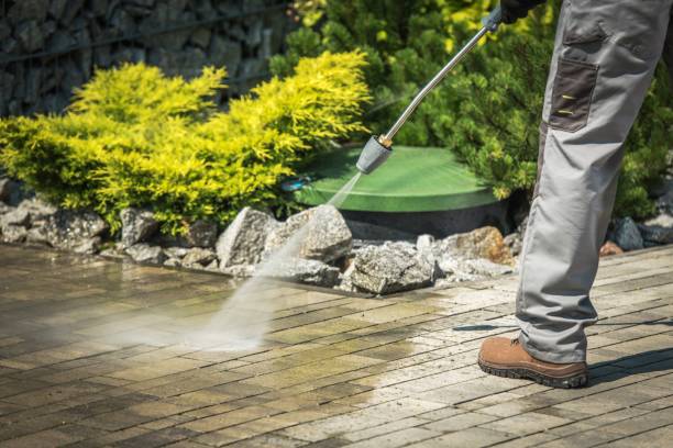Best Sidewalk and Walkway Cleaning  in Brocton, NY